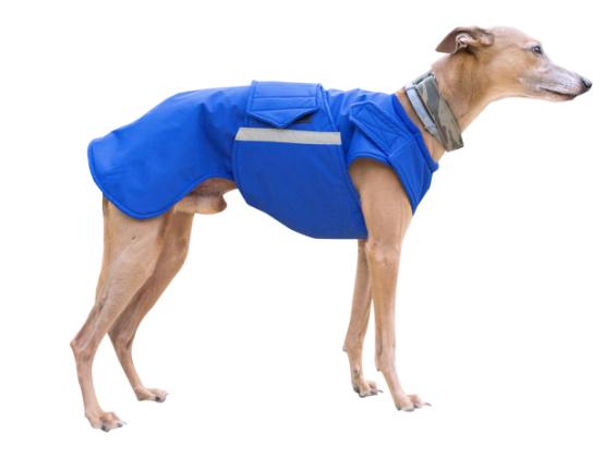 WHIPPET WINTER DOG COAT / MADE TO ORDER