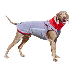 WEIMARANER SOFTSHELL DOG COAT + NECK WARMER / MADE TO ORDER