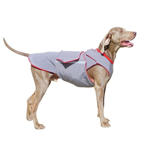 WEIMARANER SOFTSHELL DOG COAT / MADE TO ORDER