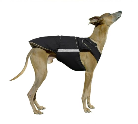 WHIPPET EXTRA WARM WINTER DOG COAT / MADE TO ORDER
