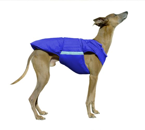 WHIPPET EXTRA WARM WINTER DOG COAT / MADE TO ORDER