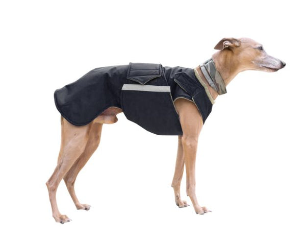 WHIPPET WINTER DOG COAT / MADE TO ORDER
