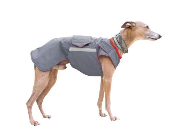 WHIPPET WINTER DOG COAT / MADE TO ORDER