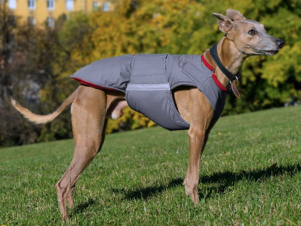 WHIPPET EXTRA WARM WINTER DOG COAT + NECK WARMER/ MADE TO ORDER