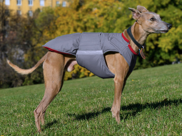 WHIPPET EXTRA WARM WINTER COAT - READY-MADE