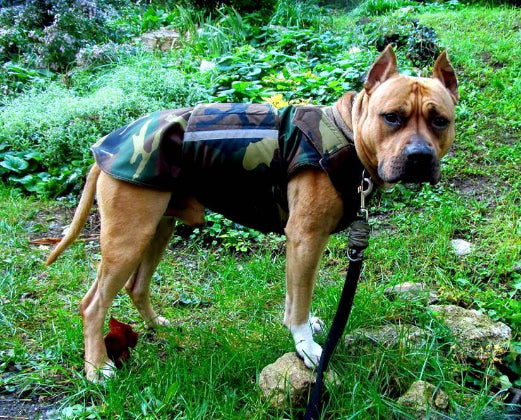 STAFFORDSHIRE TERRIER DOG RAINCOAT / MADE TO ORDER