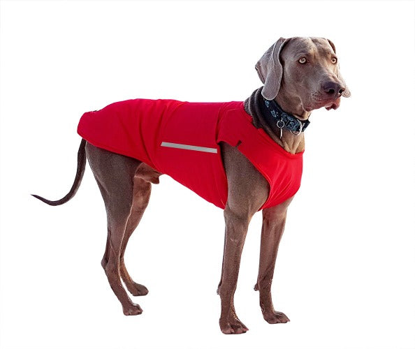 WEIMARANER DOG RAINCOAT / MADE TO ORDER