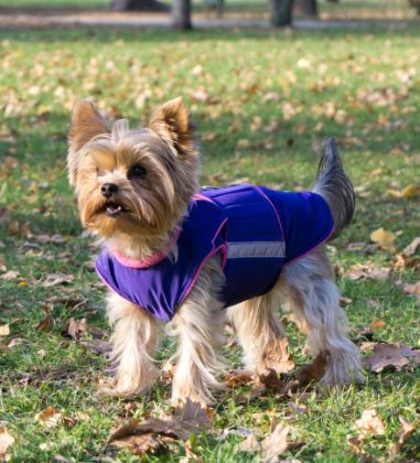 YORKSHIRE TERRIER DOG RAINCOAT / MADE TO ORDER