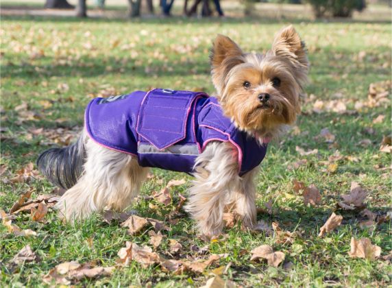 YORKSHIRE TERRIER EXTRA WARM WINTER DOG COAT / MADE TO ORDER