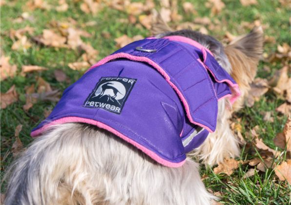 YORKSHIRE TERRIER DOG RAINCOAT / MADE TO ORDER