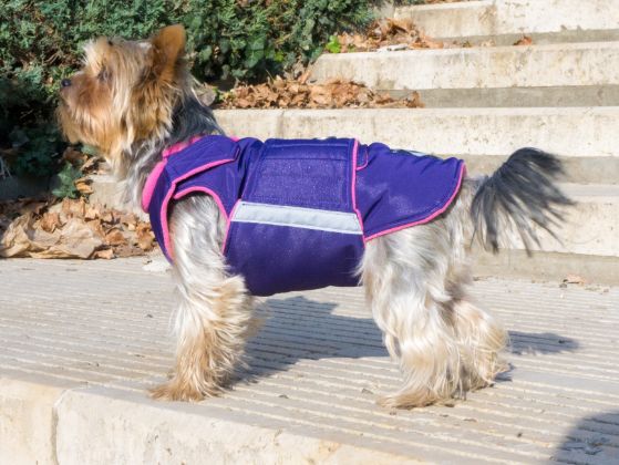 YORKSHIRE TERRIER DOG RAINCOAT / MADE TO ORDER