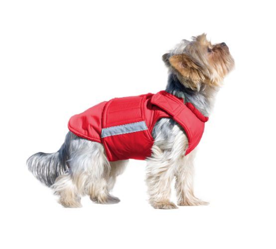 YORKSHIRE TERRIER DOG RAINCOAT / MADE TO ORDER