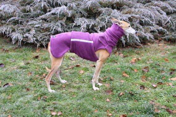 greyhound whippet pepper petwear custom made size winter waterproof warm coat dog coat dog raincoat clothes underbelly protection neck warmer