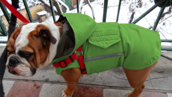 hood pepper petwear custom made size winter waterproof warm coat dog coat dog raincoat clothes underbelly protection