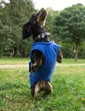 MIXED BREED DOG RAINCOAT MADE TO ORDER