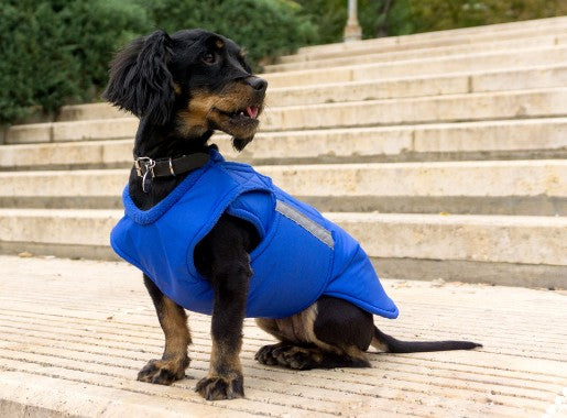 MIXED BREED DOG RAINCOAT / MADE TO ORDER