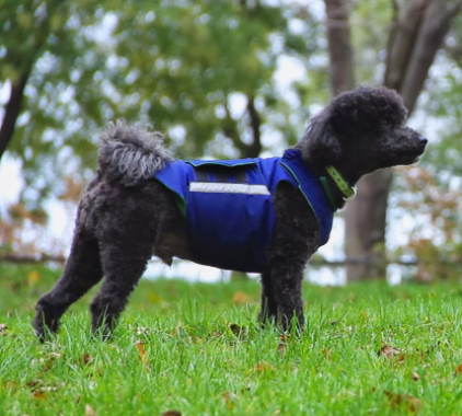 poodle pepper petwear custom made size winter waterproof warm coat dog coat dog raincoat clothes underbelly protection neck warmer