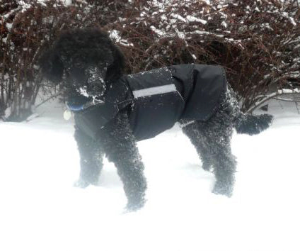 poodle pepper petwear custom made size winter waterproof warm coat dog coat dog raincoat clothes underbelly protection neck warmer