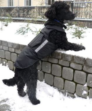 POODLE WINTER DOG COAT / MADE TO ORDER – Pepper Petwear