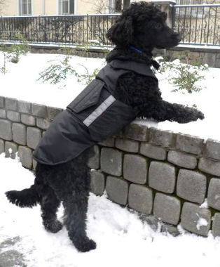 poodle pepper petwear custom made size winter waterproof warm coat dog coat dog raincoat clothes underbelly protection neck warmer