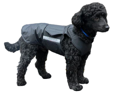 Dog coat for Poodles by Pepper Petwear. Winter dog coat. Custom made dog clothes for your dog.