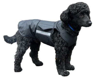 Poodle coats for sales winter