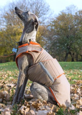 greyhound whippet pepper petwear custom made size winter waterproof warm coat dog coat dog raincoat clothes underbelly protection neck warmer