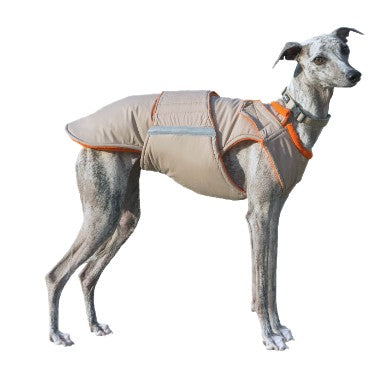 Dog coat for Greyhounds and Whippets by Pepper Petwear. Extra warm winter dog coat. Custom made dog clothes for your dog.