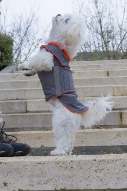 BICHON WINTER DOG COAT MADE TO ORDER Pepper Petwear