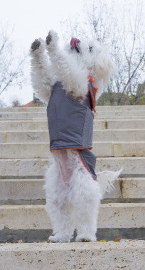 bichon pepper petwear custom made size winter waterproof warm coat dog coat dog clothes underbelly protection