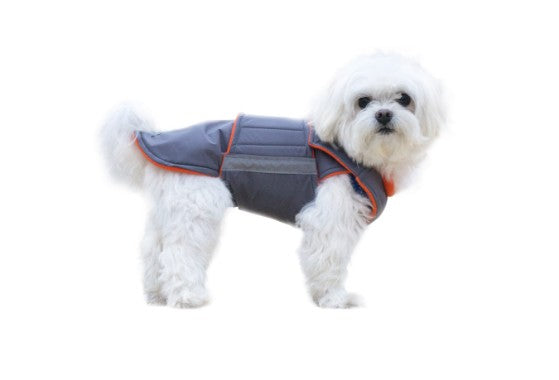 Dog coat for Bichons by Pepper Petwear. Winter dog coat. Custom made dog clothes for your dog.