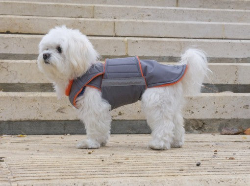BICHON WINTER DOG COAT MADE TO ORDER Pepper Petwear