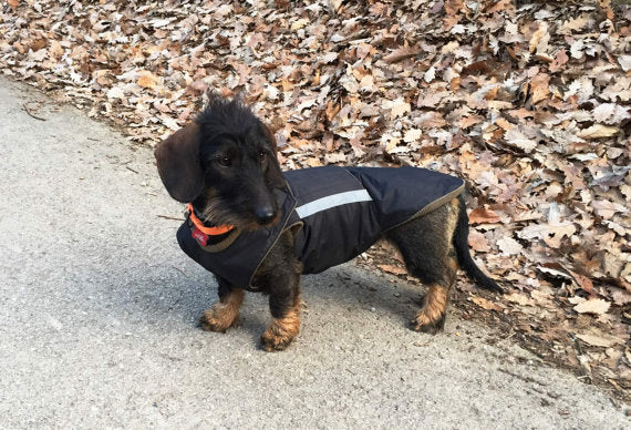 Dachshund pepper petwear custom made size winter waterproof warm coat dog coat dog raincoat clothes underbelly protection
