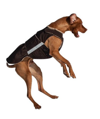 Dog coat for Weimaraners and Vizslas by Pepper Petwear. Softshell dog coat. Custom made dog clothes for your dog.