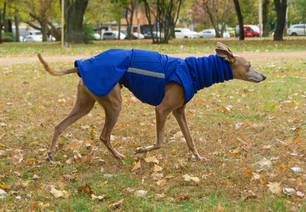 WHIPPET WINTER DOG COAT + NECK WARMER / MADE TO ORDER