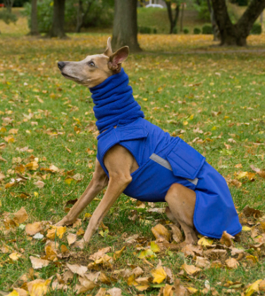 WHIPPET WINTER DOG COAT + NECK WARMER / MADE TO ORDER