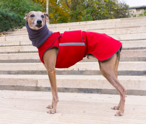 WHIPPET DOG RAINCOAT + NECK WARMER / MADE TO ORDER