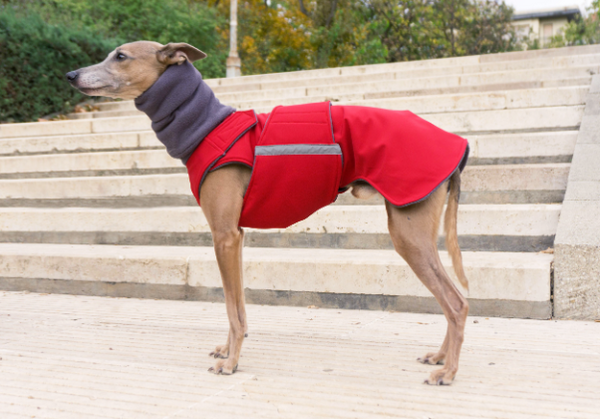 WHIPPET DOG RAINCOAT + NECK WARMER / MADE TO ORDER