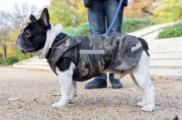 FRENCH BULLDOG EXTRA WARM WINTER COAT - READY-MADE