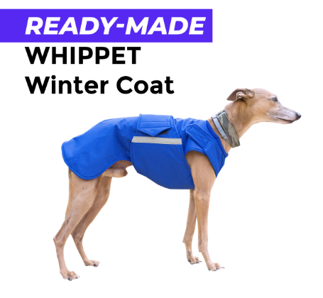 WHIPPET WINTER COAT - READY-MADE