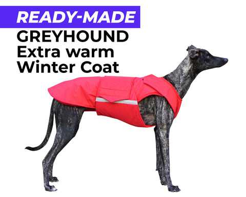 GREYHOUND EXTRA WARM WINTER COAT - READY-MADE