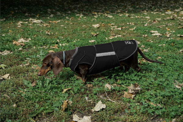 DACHSHUND WINTER COAT - READY-MADE