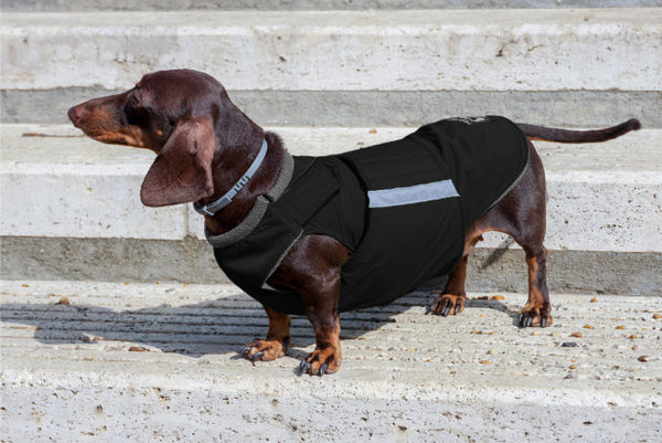 DACHSHUND RAINCOAT - READY-MADE