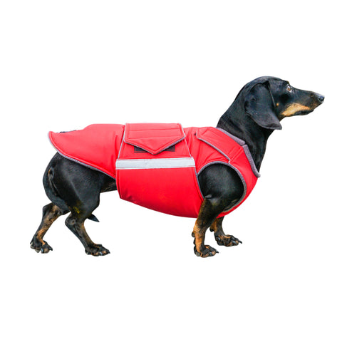 DACHSHUND EXTRA WARM WINTER DOG COAT / MADE TO ORDER