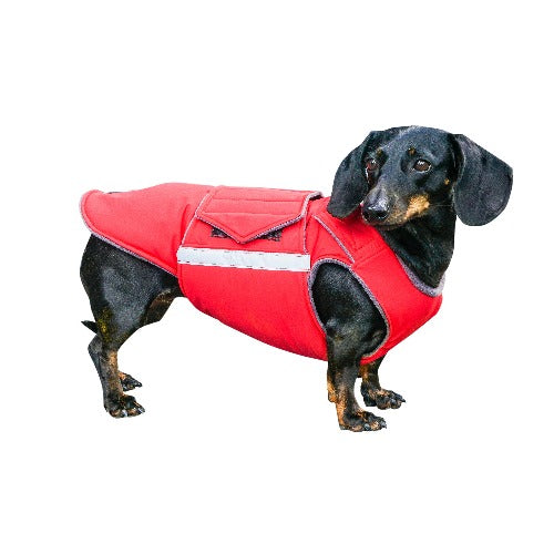 DACHSHUND EXTRA WARM WINTER COAT - READY-MADE