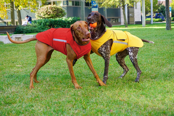 VIZSLA RAINCOAT - READY-MADE