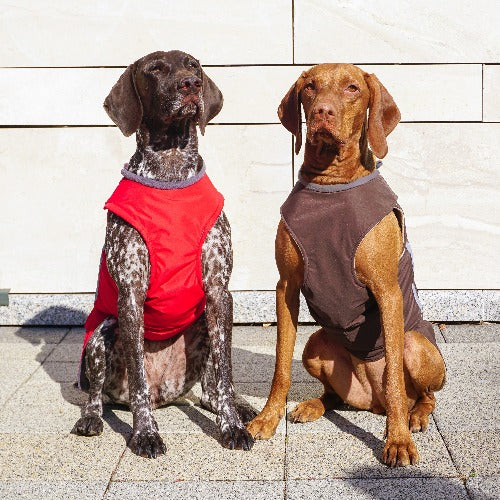 VIZSLA RAINCOAT - READY-MADE