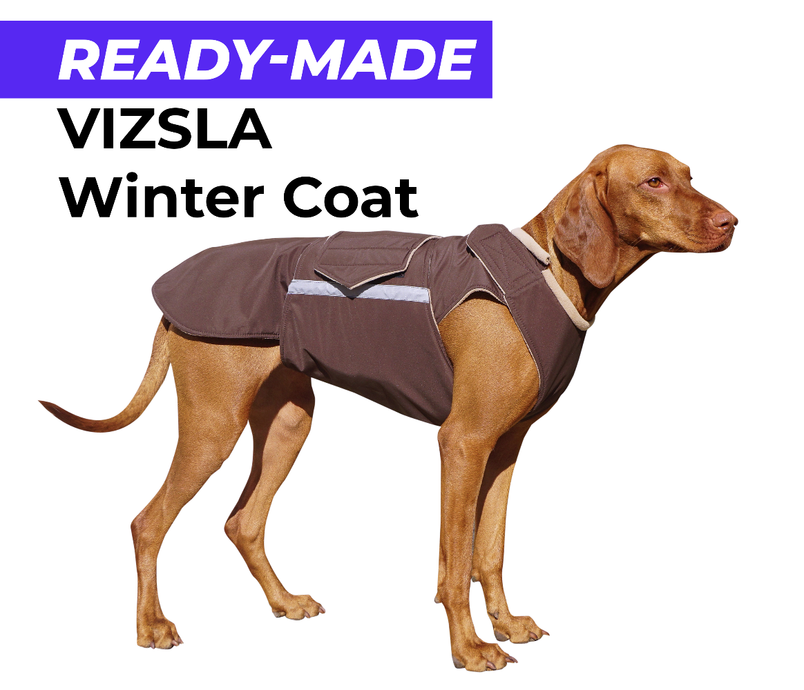 VIZSLA WINTER COAT - READY-MADE