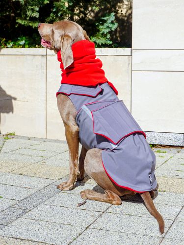 WEIMARANER SOFTSHELL DOG COAT + NECK WARMER- READY-MADE