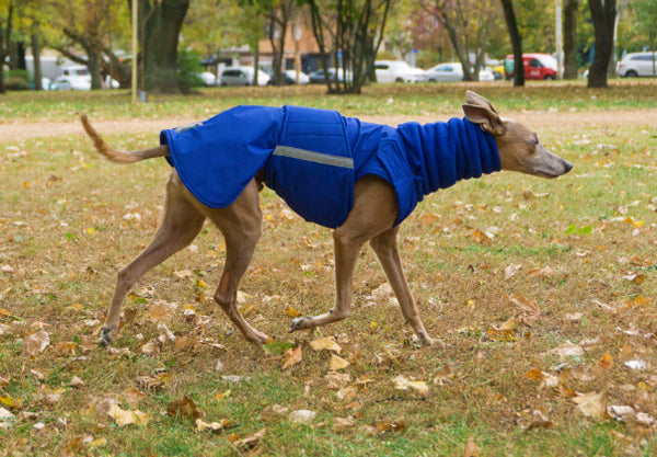 WHIPPET WINTER COAT + NECK WARMER- READY-MADE